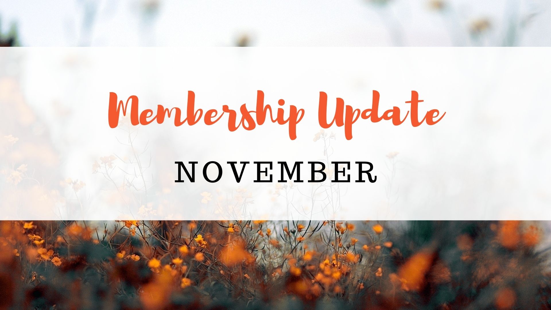 Membership Update: November 2021