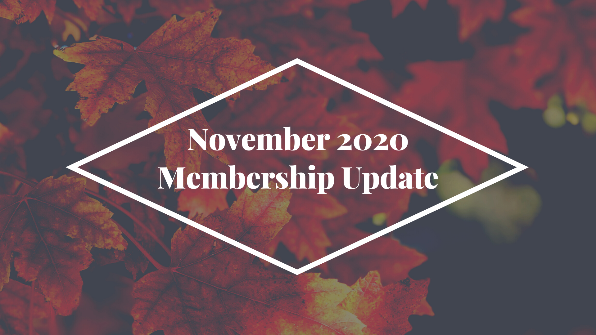 Membership Update: November 2020